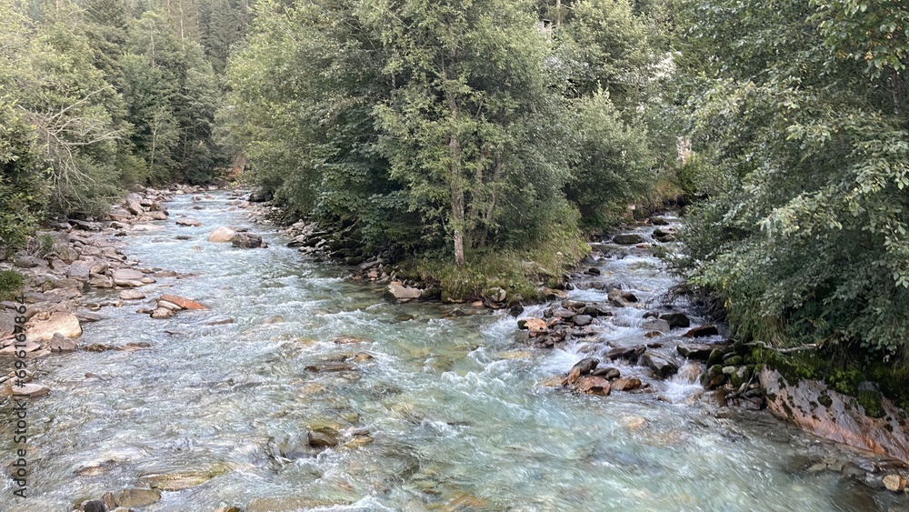 Crystal-clear mountain stream among lush greenery Crystal-clear mountain stream among lush greenery