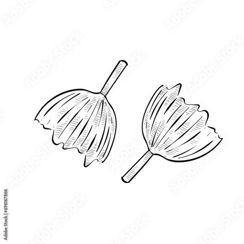 pom poms handdrawn illustration