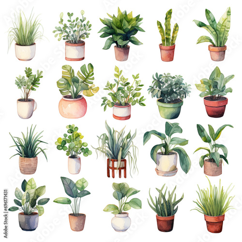 様々な種類の鉢植えの観賞植物の水彩イラストセット photo