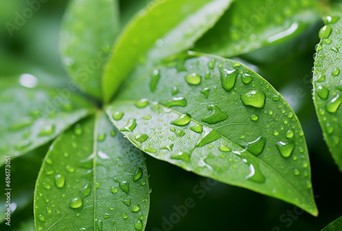 close up of green leaves with water drops. Ai generated images