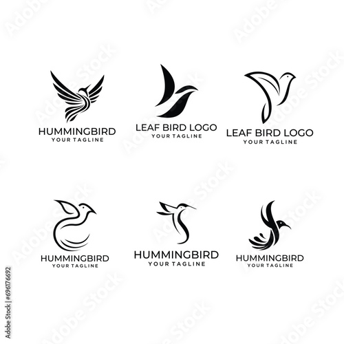 Fototapeta Naklejka Na Ścianę i Meble -  modern hummingbird logo set