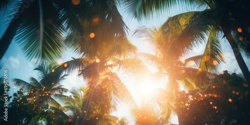 Amidst the palm trees with sunlights shimmering and creating a defocused blur effect photo