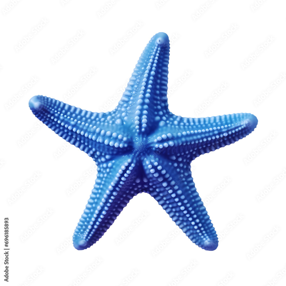 Blue starfish isolated on transparent background Blue starfish isolated on transparent background
