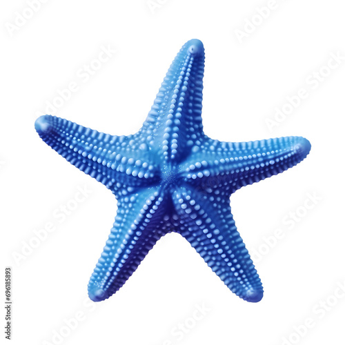 Blue starfish isolated on transparent background