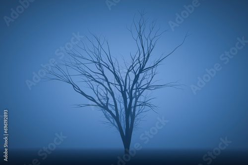 A row of trees without leaves in thick fog. © sv_production