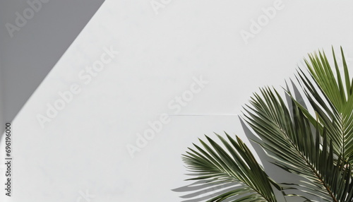 Minimalistic Elegance: Abstract Background with Palm Shadows