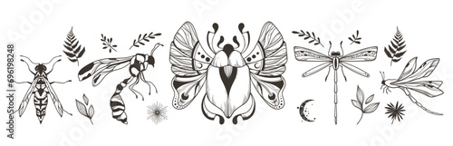 Mystical celestial moth, beetle, dragonfly, wasp clipart bundle, magic black and white insects silhouettes in vector, hand drawn isolated elements set