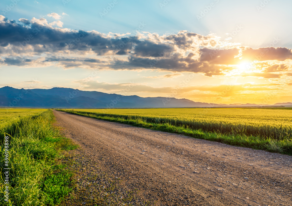 Obraz premium Country gravel road and green wheat field and mountain nature landscape at sunset