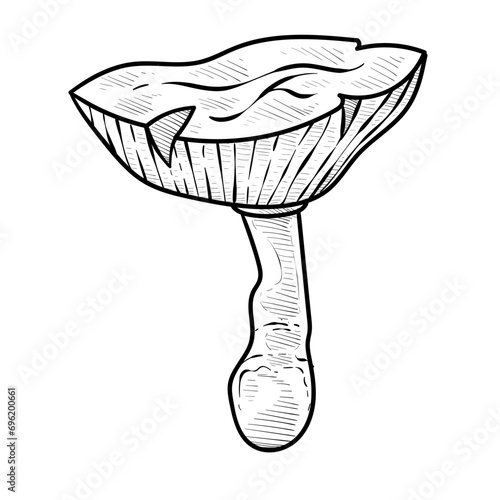 mushroom handdrawn illustration