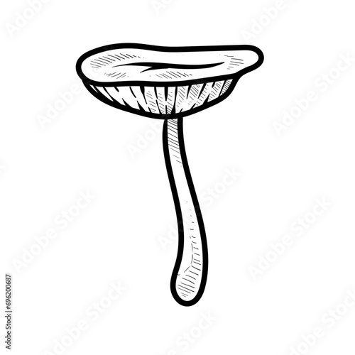 mushroom handdrawn illustration