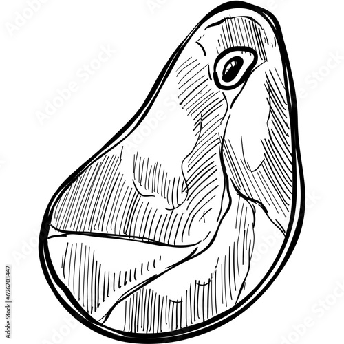 meat handdrawn illustration