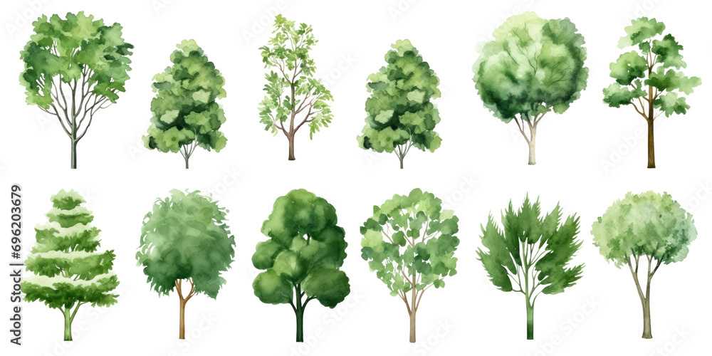 Fototapeta premium Collection of watercolor illustration green tree isolated on background. PNG transparent background.