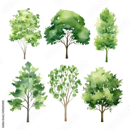 Collection of watercolor illustration green tree isolated on background. PNG transparent background.