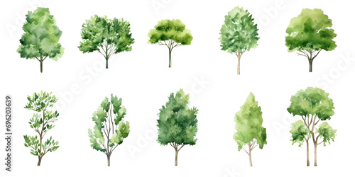 Collection of watercolor illustration green tree isolated on background. PNG transparent background. photo