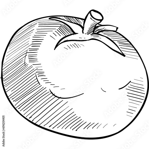 tomato handdrawn illustration
