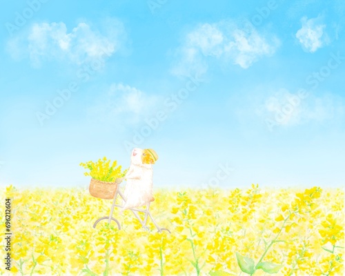 ある晴れた休日、菜の花畑の中をサイクリングする可愛いハムスターのイラスト。水彩イラストを使用。