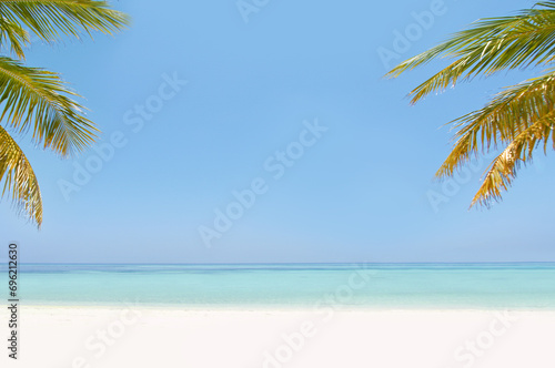 Landscape, ocean and beach with tropical palm tree in summer, mockup space or blue sky background by island. Nature, leaves and water in sea for sustainability, holiday and sunshine in environment