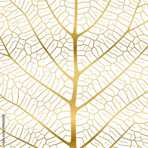 Leaf vein texture abstract background with close up plant leaf cells ornament texture pattern.
