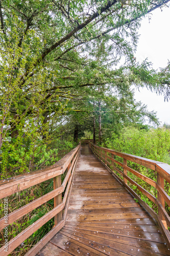 Fort to Sea Trail at Lewis and Clark National and State Historical Parks
