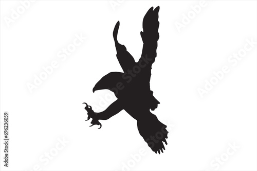 An eagle at the moment of attack. Vector image. White background.
