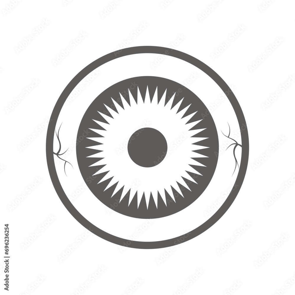 Vector human eye isolated on white background Vector human eye isolated on white background