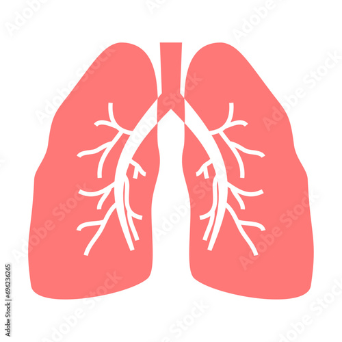 Vector lungs human organ vector illustration