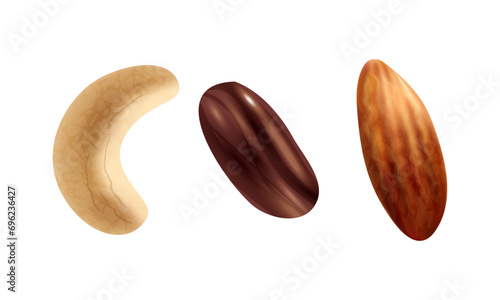 Vector set vector icons of nuts on white background