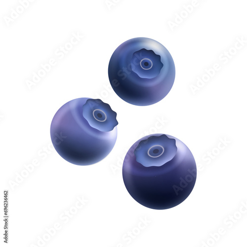 Vector Sweet blueberry with fresh mint on white background