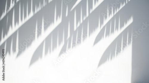 Leaves shadow overlays on white background. Window light shadow on the wall overlay. Sun Shadows Play