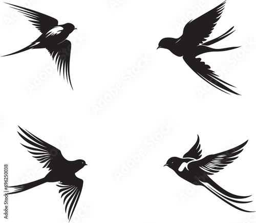 Set of Black Swallow Silhouette on white background