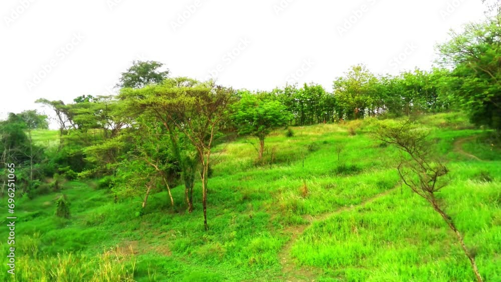 Aerial view of small pond surrounded by trees on the hills in Surabaya, Indonesia. Drone footage. Aerial view of small pond surrounded by trees on the hills in Surabaya, Indonesia. Drone footage.