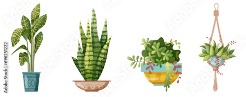 Houseplant and macrame plant growing in pots. Set of handmade home decorations macrame plants isolated on white background. Cartoon flat illustration.