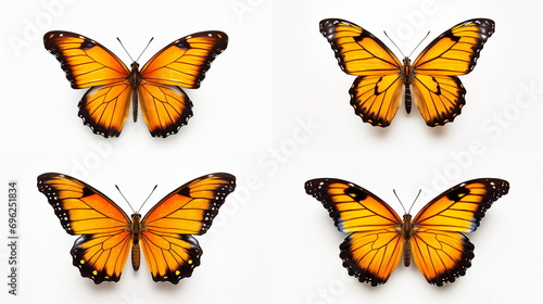 Collection of butterflies isolated on white background. Generative AI.