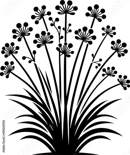 Eriocaulaceae plant icon 13
