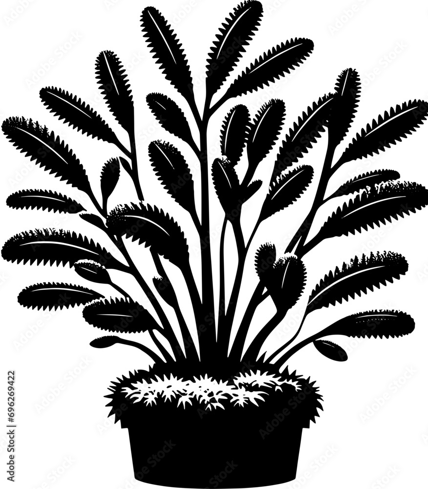 Emblingiaceae plant icon 12 Emblingiaceae plant icon 12