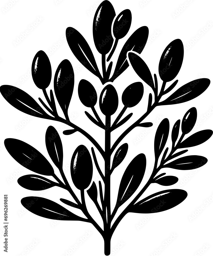 Elaeagnaceae plant icon 9 Elaeagnaceae plant icon 9