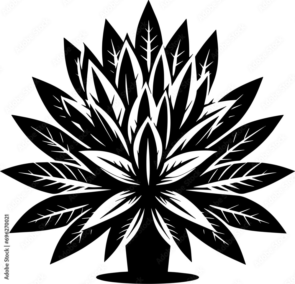 Ebenaceae plant icon 11 Ebenaceae plant icon 11