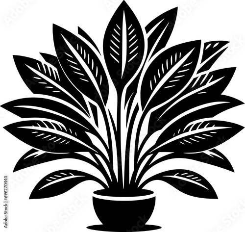 Doryanthaceae plant icon 1 photo