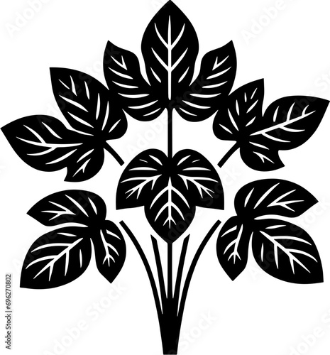 Dioscoreaceae plant icon 3