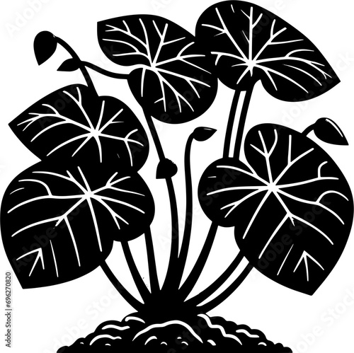 Dioscoreaceae plant icon 2