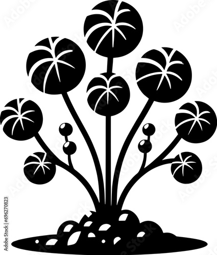 Dioscoreaceae plant icon 1