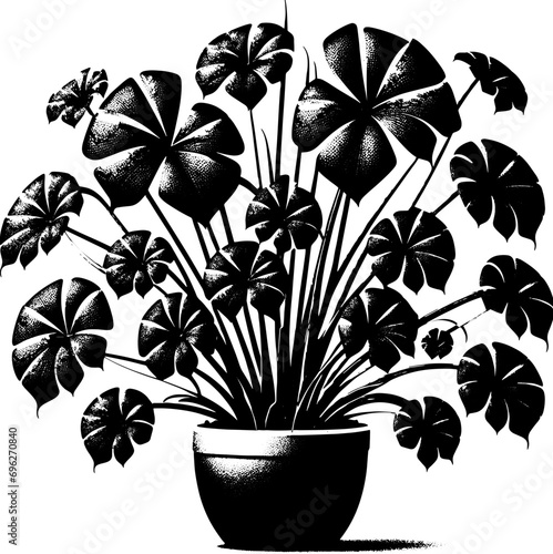 Dioscoreaceae plant icon 5