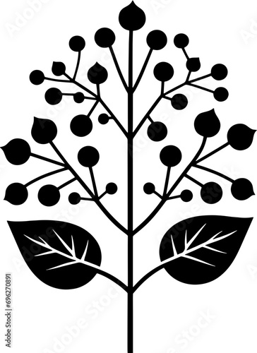 Dioncophyllaceae plant icon 6