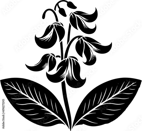 Dichapetalaceae plant icon