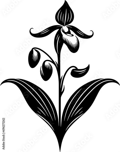 Dichapetalaceae plant icon 14