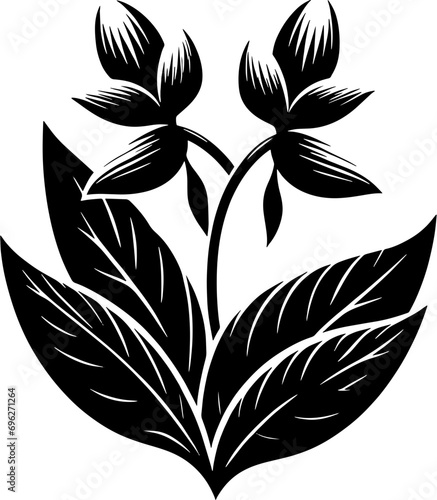 Dichapetalaceae plant icon 11