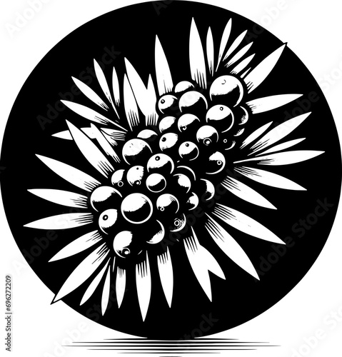 Cyrillaceae plant icon 3