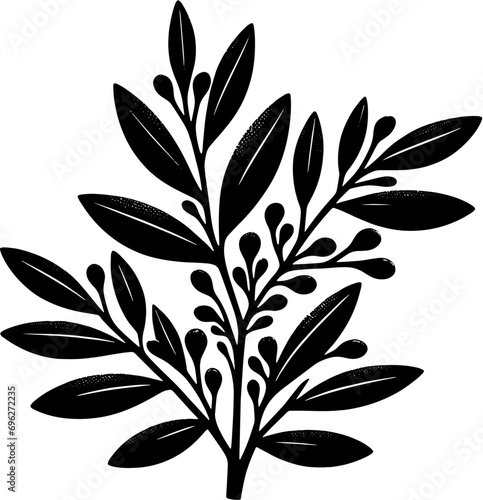 Cyrillaceae plant icon 1