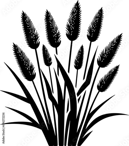 Cyperaceae plant icon photo