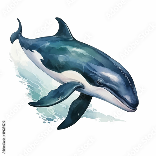 shark, dolphin, fish, animal, sea, ocean, vector, isolated, underwater, water, illustration, white, fin, mammal, blue, nature, whale, marine, cartoon, life, wildlife, swimming, predator, swim, wild